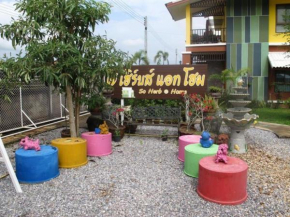 So Herbs at Home